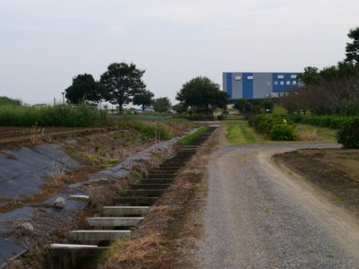 羽生水郷公園の近くで用水路釣り！の写真6