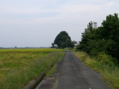 羽生水郷公園の近くで用水路釣り！の写真8