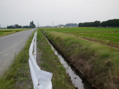 羽生水郷公園の近くで用水路釣り！の写真14