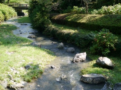 雀川砂防ダム公園で川遊び！の写真2