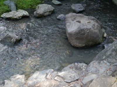 雀川砂防ダム公園で川遊び！の写真3