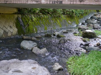 雀川砂防ダム公園で川遊び！の写真4