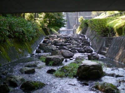 雀川砂防ダム公園で川遊び！の写真6