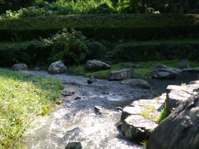 雀川砂防ダム公園で川遊び！の写真13