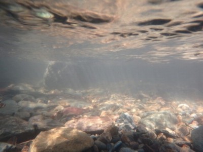 雀川砂防ダム公園で川遊び！の写真17