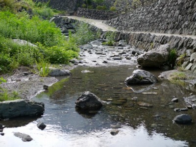 鳥羽川河川公園で川遊び！の写真2