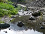 鳥羽川河川公園で川遊び！の写真のサムネイル写真2