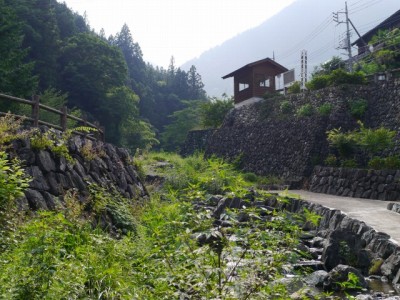 鳥羽川河川公園で川遊び！の写真4