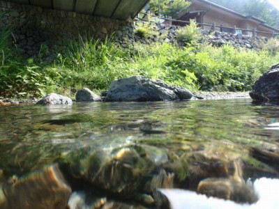 鳥羽川河川公園で川遊び！の写真6