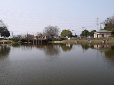 西城沼公園で釣りの写真2