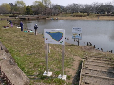 西城沼公園で釣りの写真4