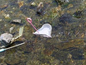 【川遊び】くらかけ清流の郷で川遊びの写真13