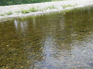 【川遊び】くらかけ清流の郷で川遊びの写真14