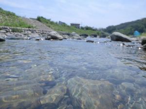 【川遊び】ときがわ花菖蒲園で川遊びの写真1