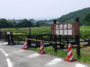 【川遊び】ときがわ花菖蒲園で川遊びの写真8