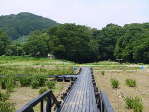 【川遊び】ときがわ花菖蒲園で川遊びの写真9