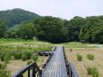 【川遊び】ときがわ花菖蒲園で川遊びの写真のサムネイル写真9
