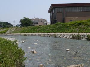 【川遊び】ときがわ花菖蒲園で川遊びの写真16