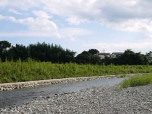 【川遊び】ときがわ花菖蒲園で川遊びの写真37