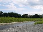 【川遊び】ときがわ花菖蒲園で川遊びの写真のサムネイル写真37