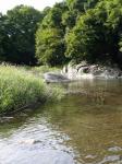 【川遊び】ときがわ花菖蒲園で川遊びの写真のサムネイル写真38