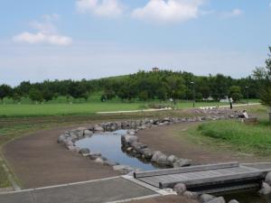 【じゃぶじゃぶ池】まつぶし緑の丘公園のじゃぶじゃぶ池とスプリンクラー！の写真7