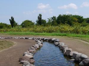 【じゃぶじゃぶ池】まつぶし緑の丘公園のじゃぶじゃぶ池とスプリンクラー！の写真9