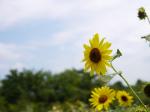 【じゃぶじゃぶ池】まつぶし緑の丘公園のじゃぶじゃぶ池とスプリンクラー！の写真のサムネイル写真15