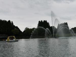 【その他】久喜菖蒲公園のペダルボートで遊ぶ！の写真13