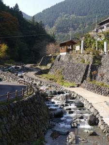 【川遊び】鳥羽川河川公園で、川遊び！の写真1