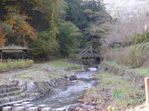 【川遊び】鳥羽川河川公園で、川遊び！の写真3