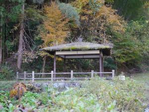 【川遊び】鳥羽川河川公園で、川遊び！の写真6