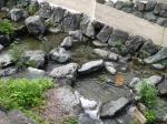 【川遊び】鳥羽川河川公園で、川遊び！の写真のサムネイル写真15