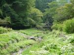 【川遊び】鳥羽川河川公園で、川遊び！の写真のサムネイル写真20