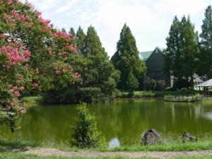 【じゃぶじゃぶ池】庄和総合公園のじゃぶじゃぶ池で水遊び！の写真1