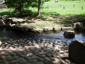 【じゃぶじゃぶ池】庄和総合公園のじゃぶじゃぶ池で水遊び！の写真6