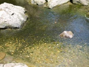 【じゃぶじゃぶ池】庄和総合公園のじゃぶじゃぶ池で水遊び！の写真13