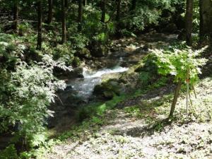 【川遊び】黒山三滝で川遊び！の写真1