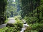 【川遊び】黒山三滝で川遊び！の写真のサムネイル写真6