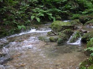 【川遊び】黒山三滝で川遊び！の写真9