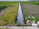 【ザリガニ釣り】高須賀池公園でザリガニ釣り！の写真のサムネイル写真15