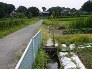 【ザリガニ釣り】高須賀池公園でザリガニ釣り！の写真17