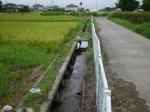 【ザリガニ釣り】ふたたび高須賀池公園でザリガニ釣り！の写真のサムネイル写真7