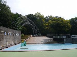 【プール】国営武蔵丘陵森林公園の水遊び場！の写真1