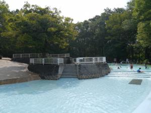 【プール】国営武蔵丘陵森林公園の水遊び場！の写真3