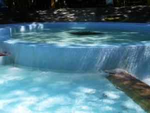 【プール】国営武蔵丘陵森林公園の水遊び場！の写真25