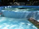 【プール】国営武蔵丘陵森林公園の水遊び場！の写真のサムネイル写真25