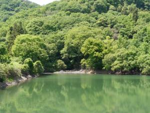 【ハイキング】鐘撞堂山でお手軽ハイキングの写真3