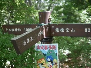 【ハイキング】鐘撞堂山でお手軽ハイキングの写真6