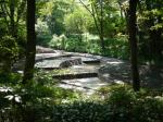 【プール】ふたたび国営武蔵丘陵森林公園の水遊び場！の写真のサムネイル写真5